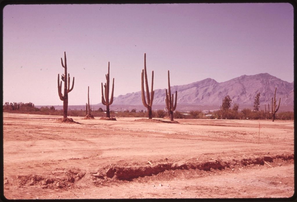 Open desert running to the hills